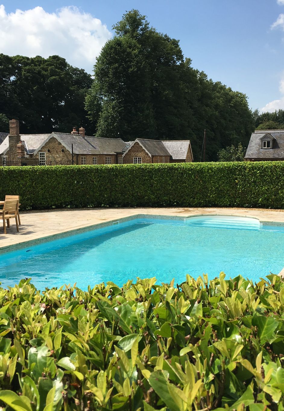 A lucious blue pool behind green shrubury